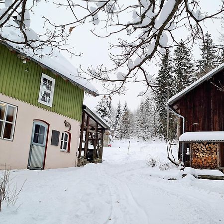 Ferienwohnung Im Wald, Fuer Naturfreunde Clausthal-Zellerfeld Exteriér fotografie