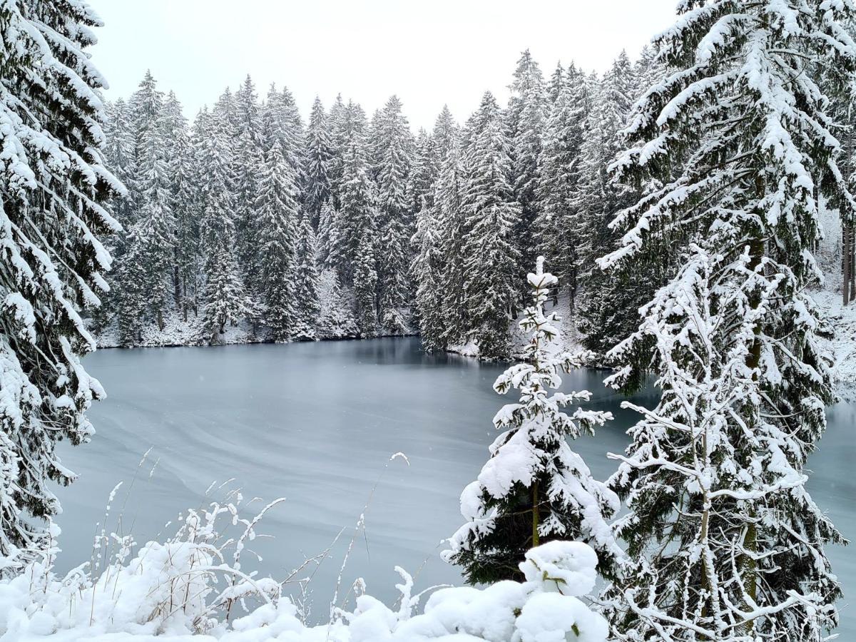 Ferienwohnung Im Wald, Fuer Naturfreunde Clausthal-Zellerfeld Exteriér fotografie