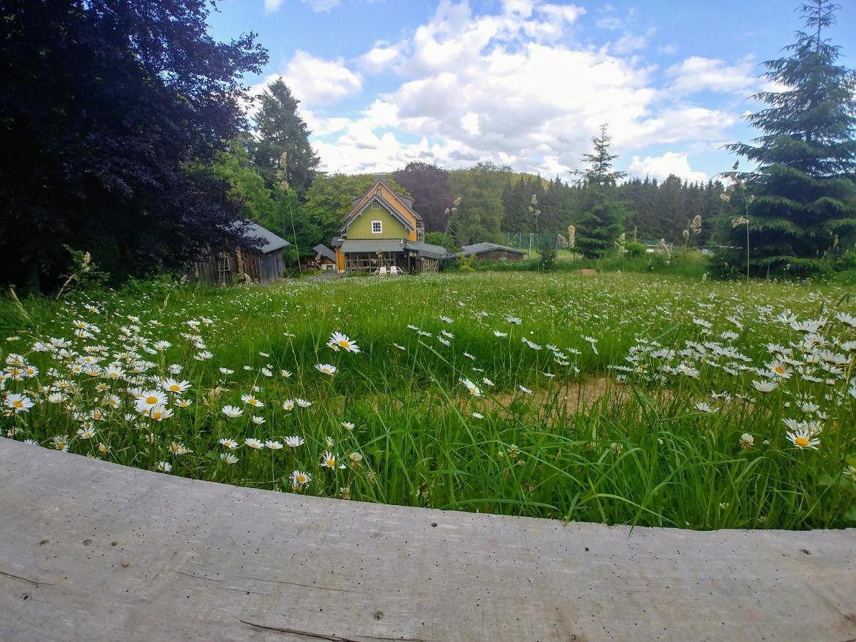 Ferienwohnung Im Wald, Fuer Naturfreunde Clausthal-Zellerfeld Exteriér fotografie