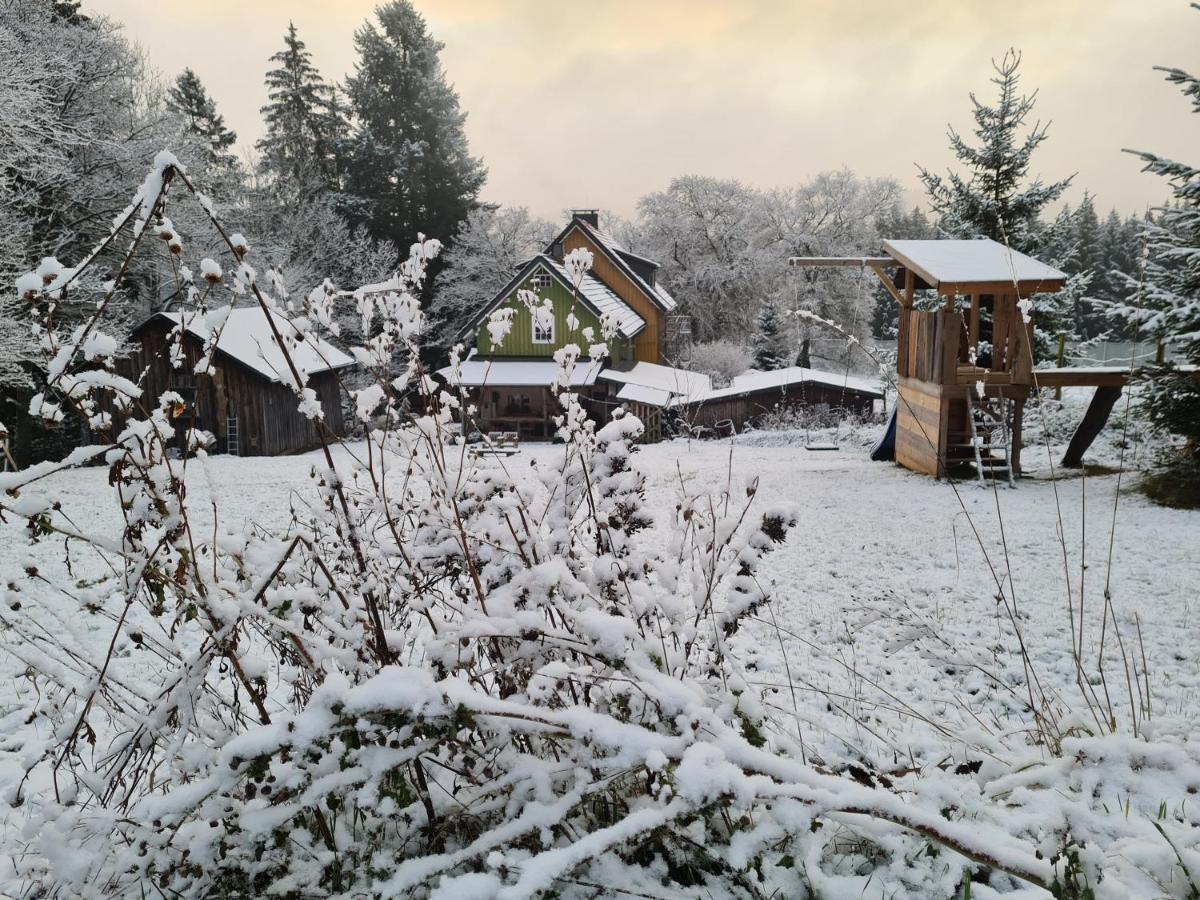 Ferienwohnung Im Wald, Fuer Naturfreunde Clausthal-Zellerfeld Exteriér fotografie