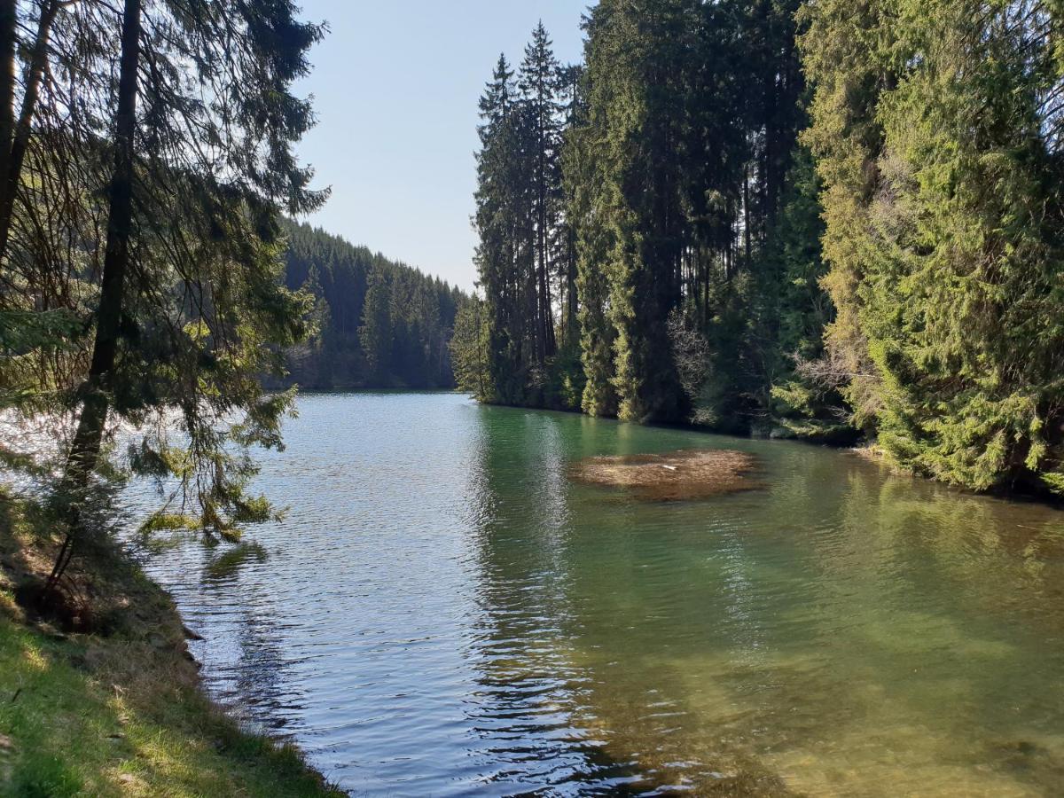 Ferienwohnung Im Wald, Fuer Naturfreunde Clausthal-Zellerfeld Exteriér fotografie