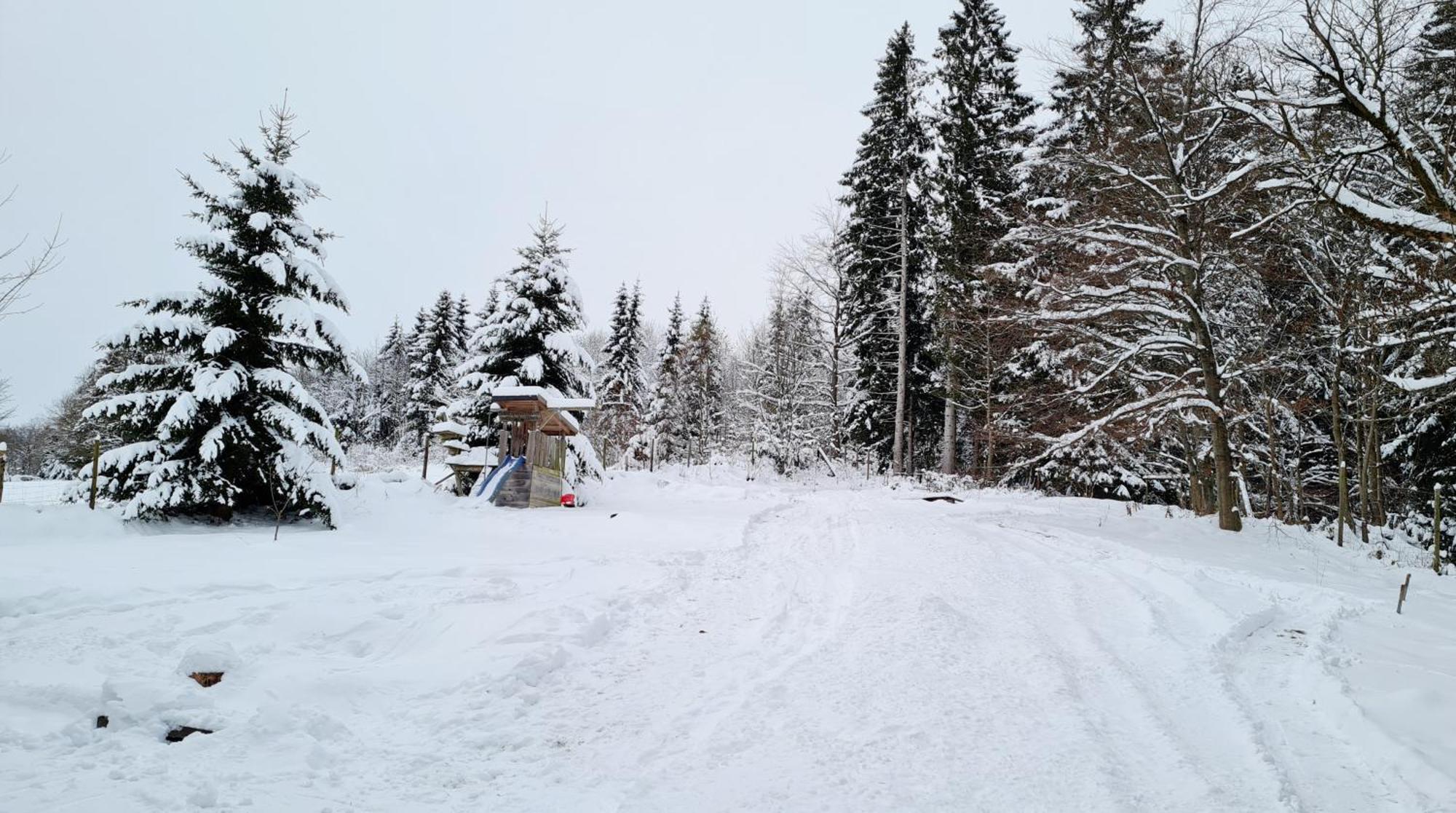 Ferienwohnung Im Wald, Fuer Naturfreunde Clausthal-Zellerfeld Exteriér fotografie