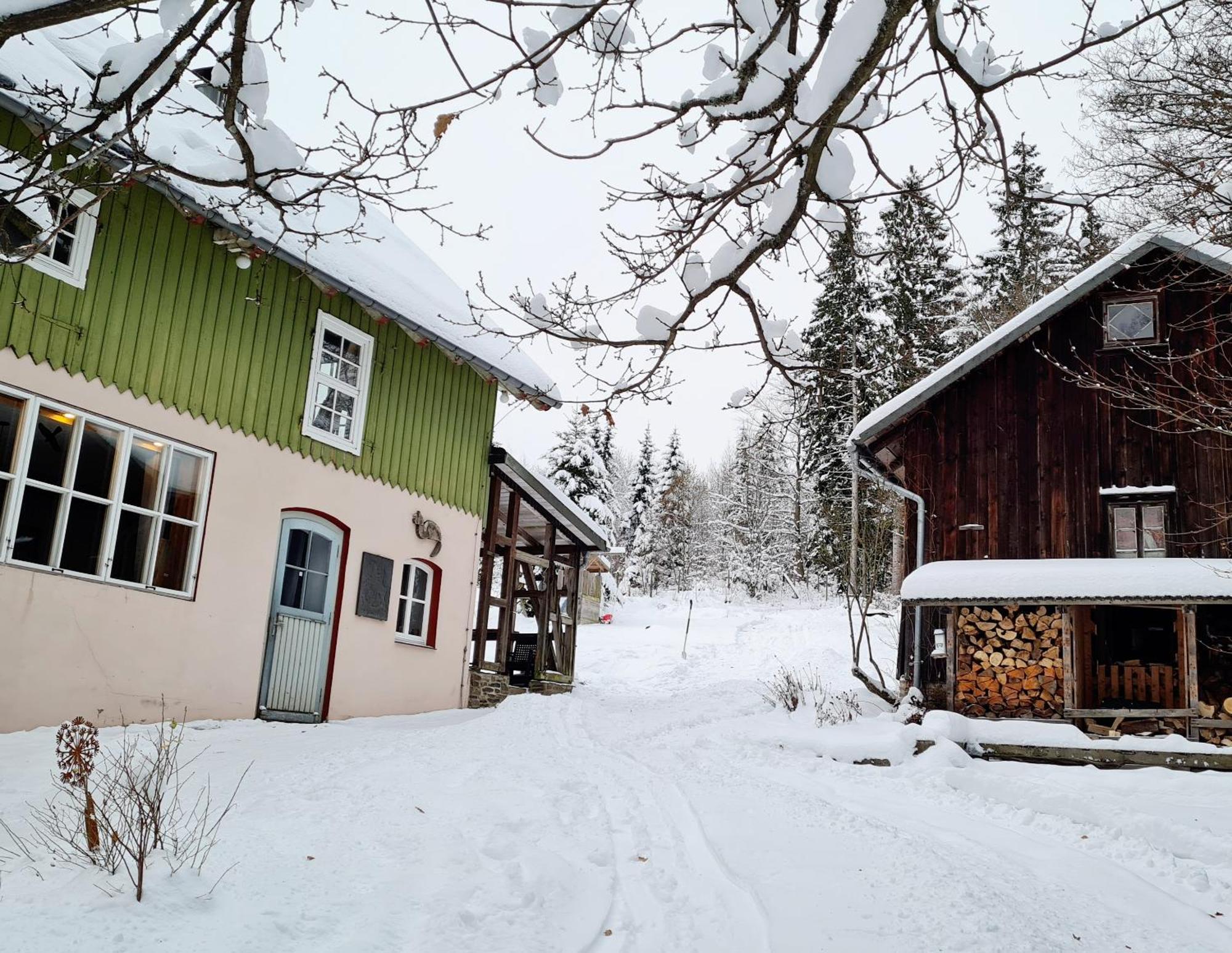 Ferienwohnung Im Wald, Fuer Naturfreunde Clausthal-Zellerfeld Exteriér fotografie